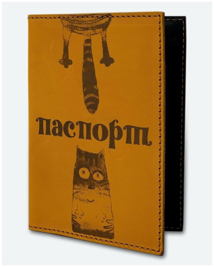 Фотография кота на паспорт