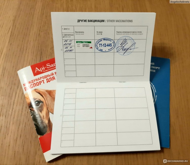 Бланк ветеринарного паспорта