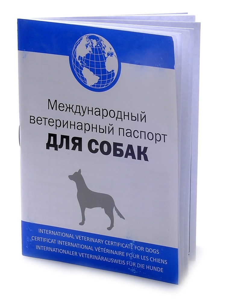 Документы на животных