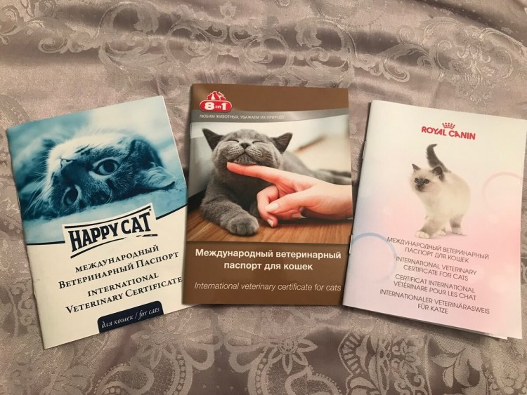 Паспорт для котов