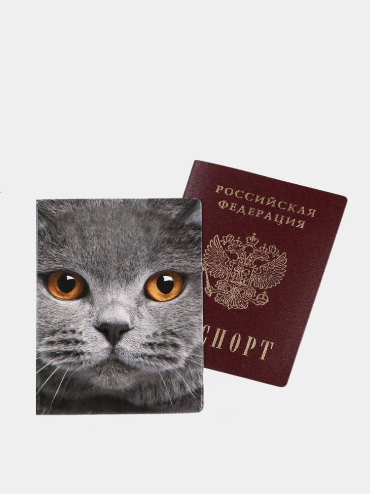 Ветеринарный паспорт для кошки