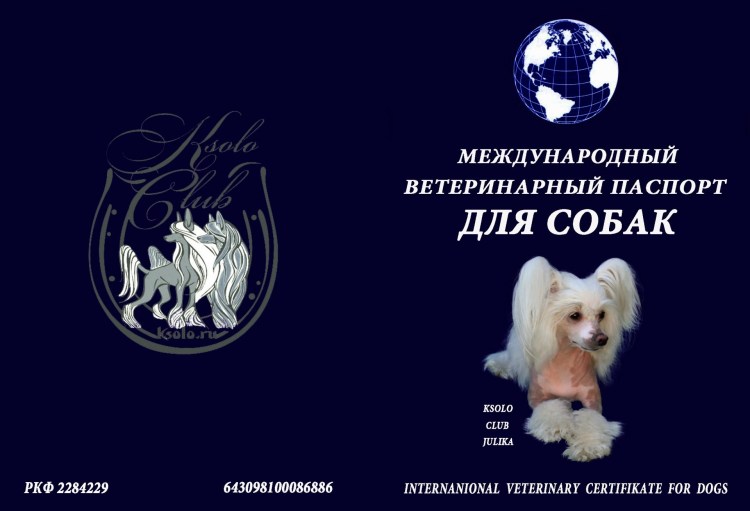 Милые обложки на паспорт