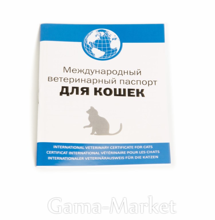 Паспорт кота шотландца
