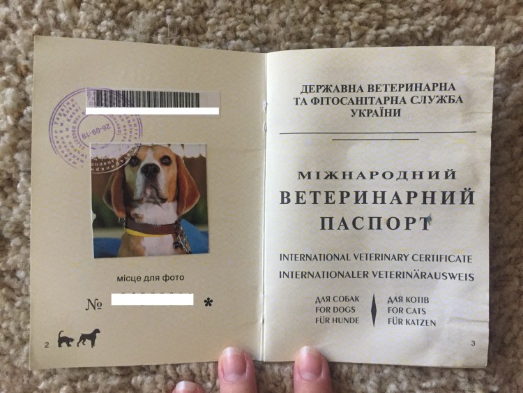 Паспорт ветеринарный
