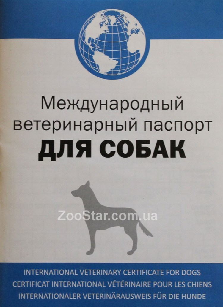 Как заполнить ветеринарный паспорт собаки образец