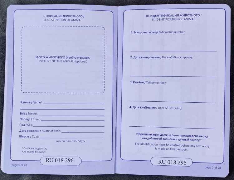 Котики усатики