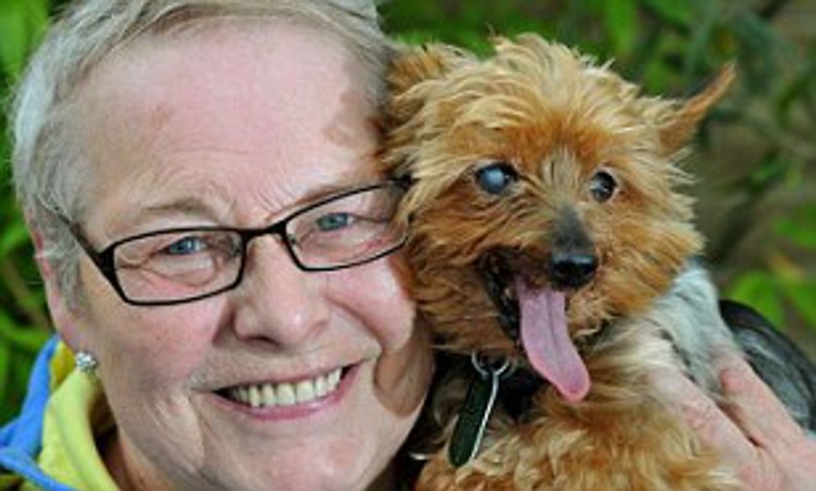 Самая долголетняя собака