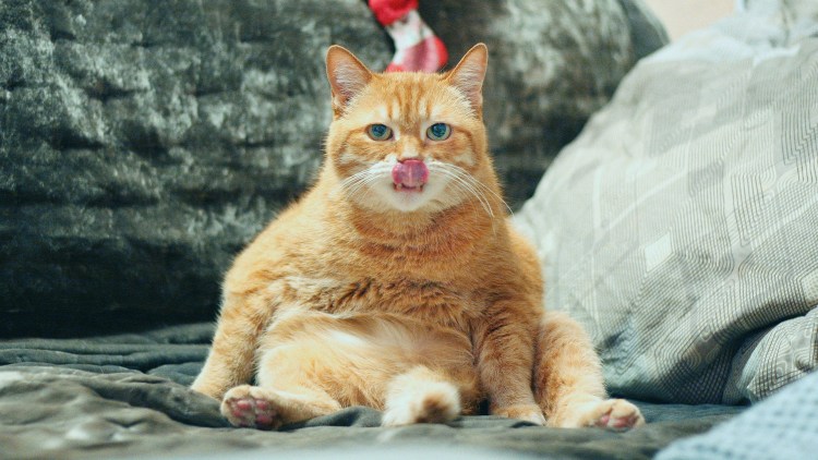 Жизнь прекрасна демотиваторы