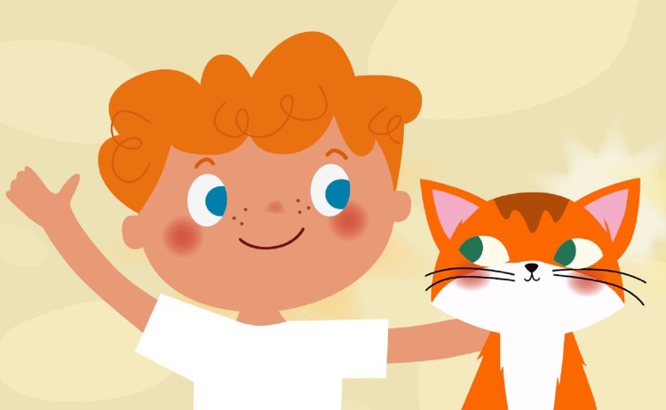 Котики смешные