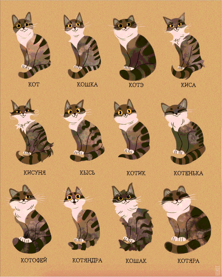 Прикольный кот