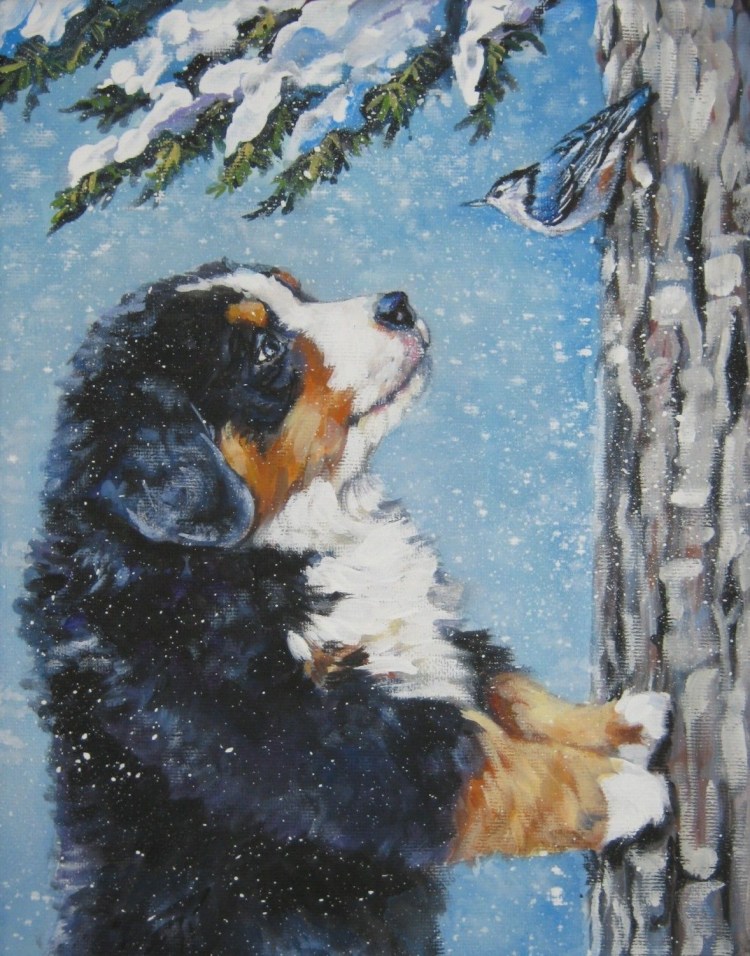 Бернский зенненхунд милый