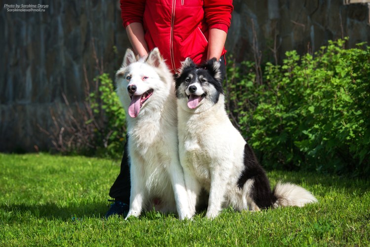 Выставка Евразия