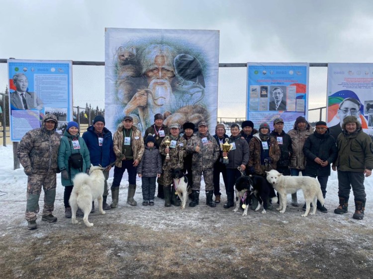 Якутская лайка черная