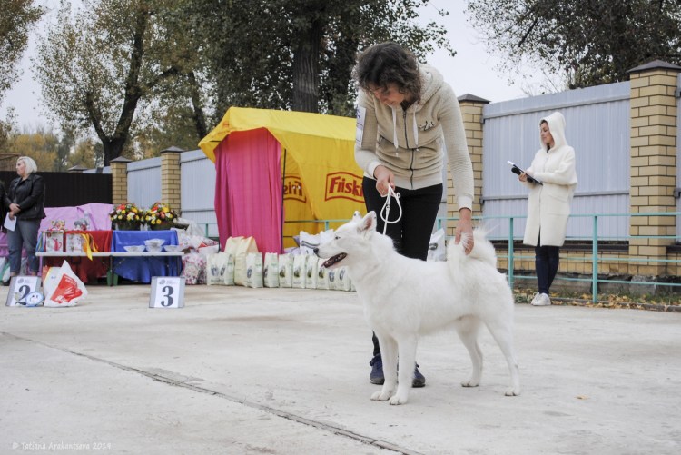 Клуб Сириус