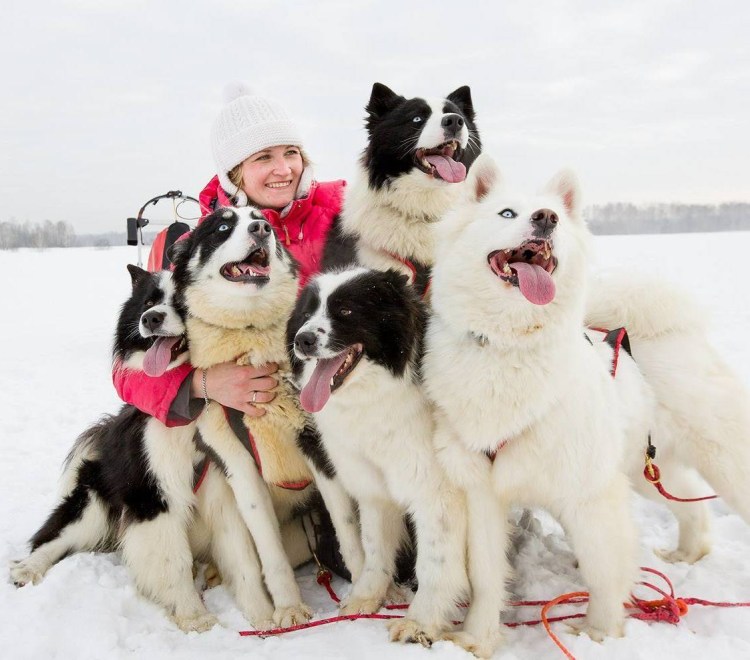 Питомник Заполярье