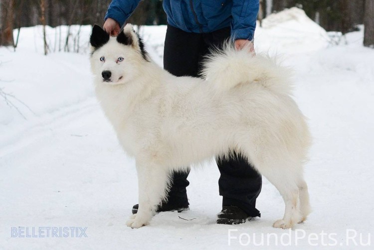 Выставка Камчатка на ВДНХ