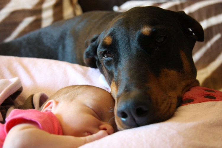 Нина Доберман