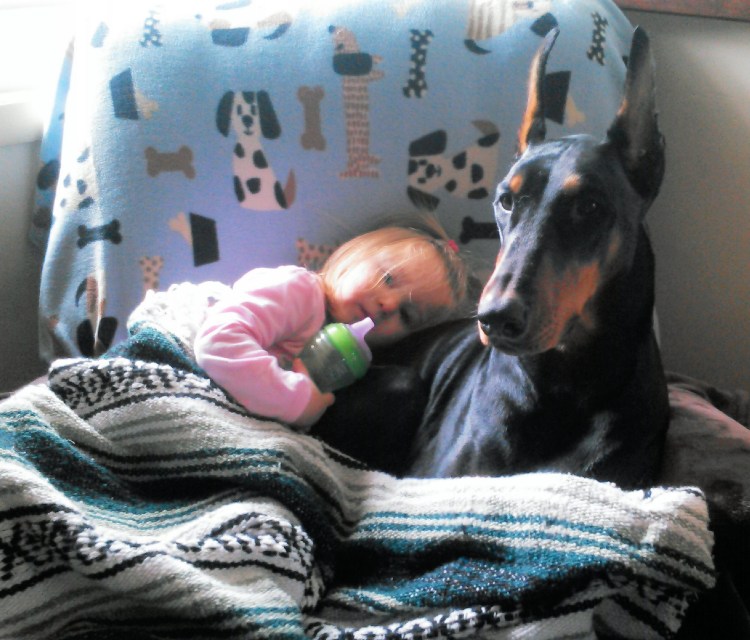 Доберман и дети