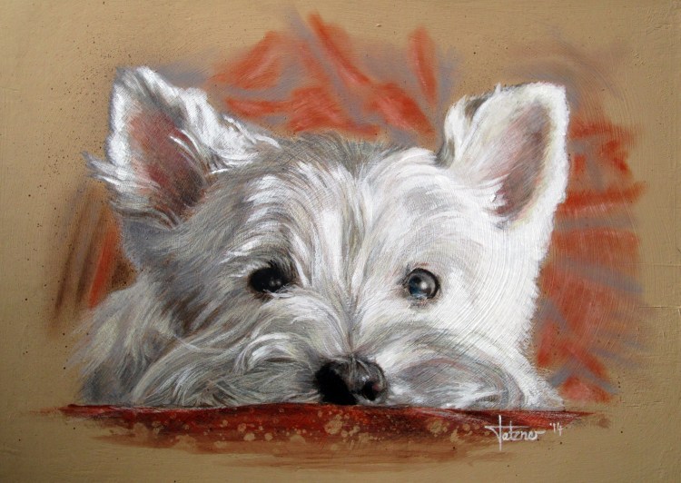 Вест-хайленд-Уайт-терьер рисное