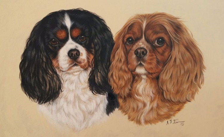 Японский кавалер