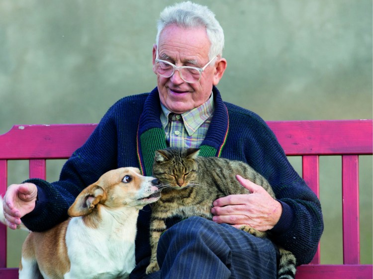 Пенсионеры и животные
