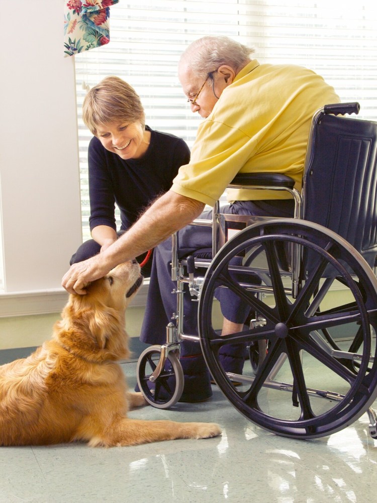 Анималотерапия для детей