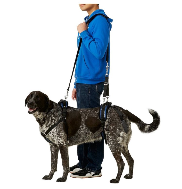 Petsafe Solvit CARELIFT