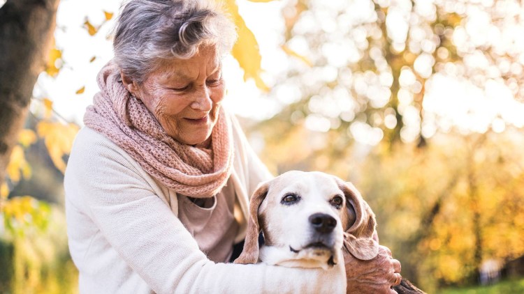 Собаки-компаньоны для пожилых людей