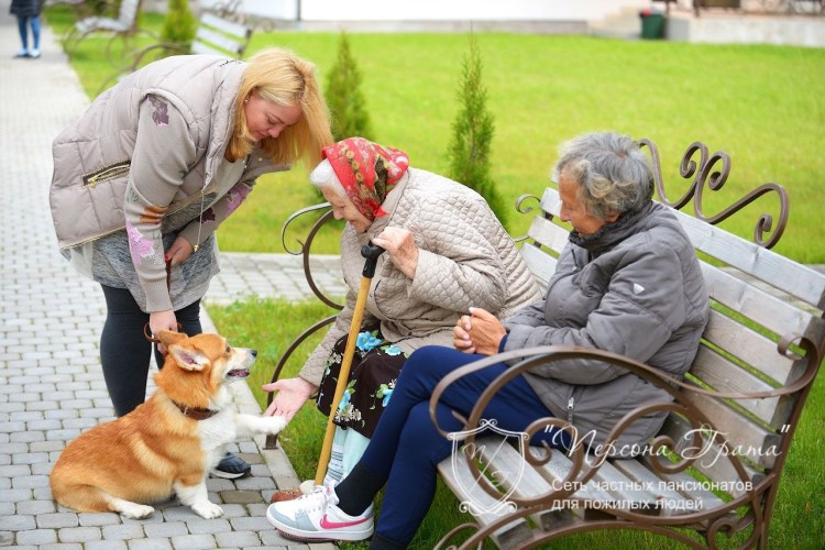 Собаки для пожилых людей