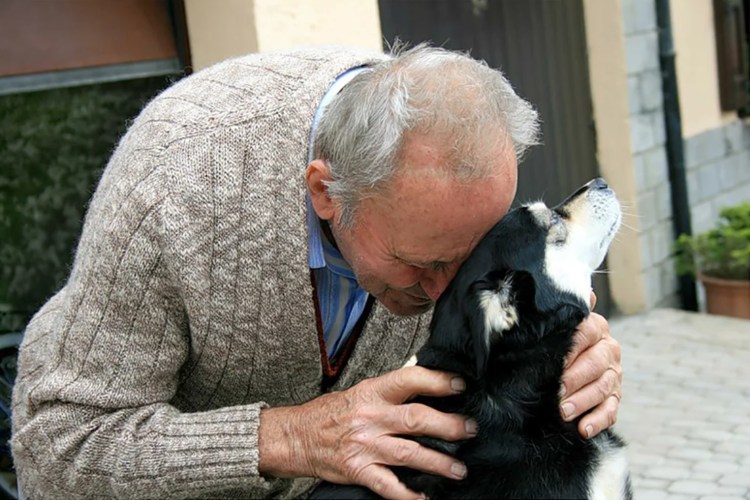 Старик и собака