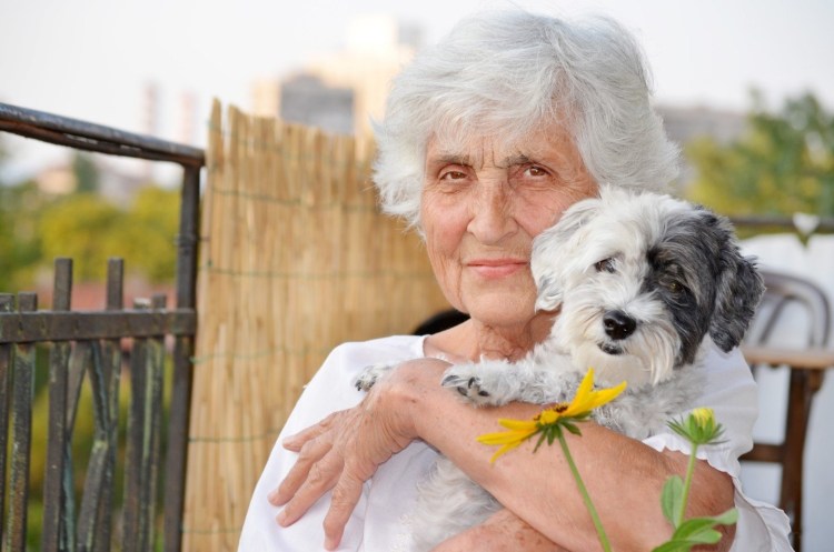 Старушка с собачкой