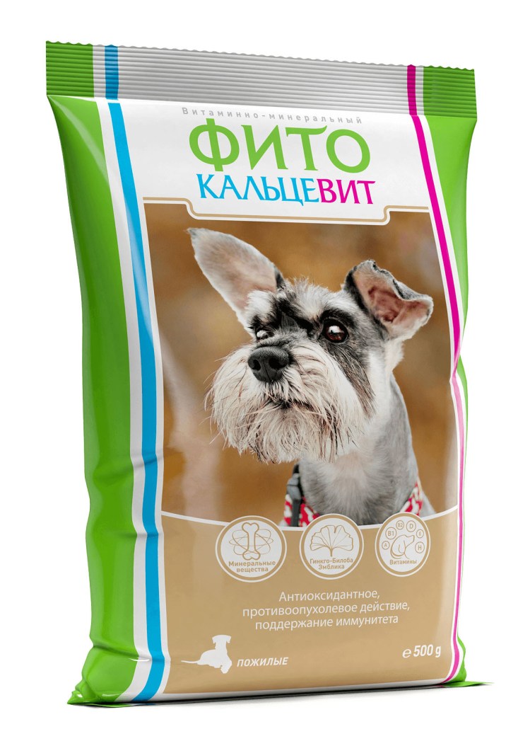 Породы собак для пожилых людей