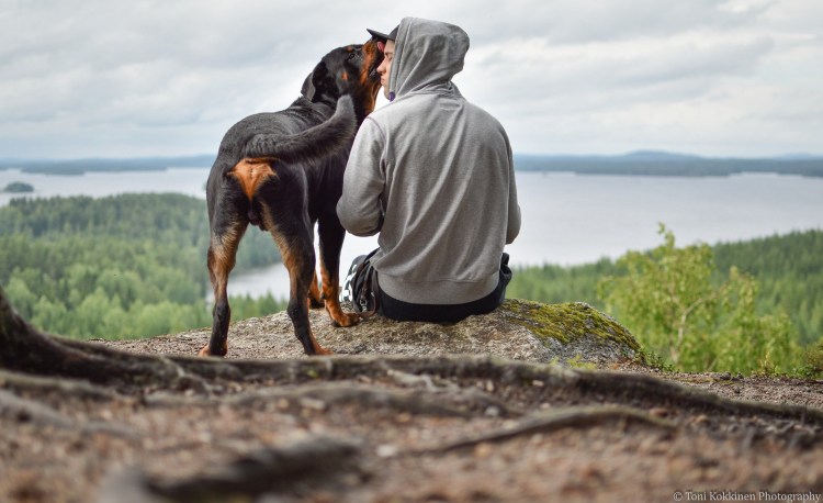 Мужчина с ротвейлером
