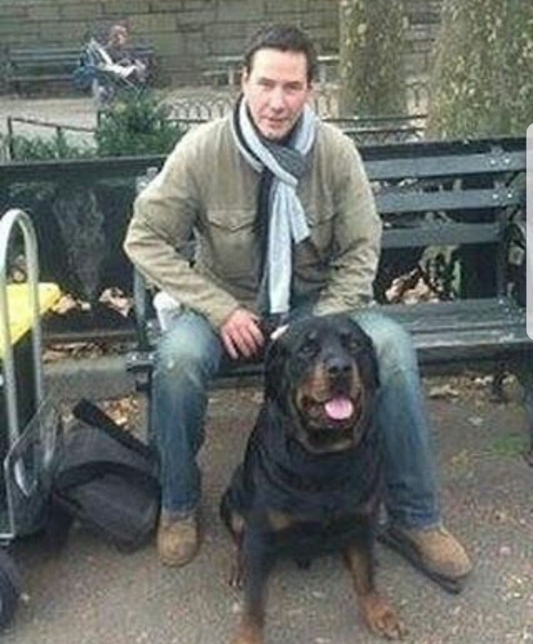 Ротвейлер Киану Ривза