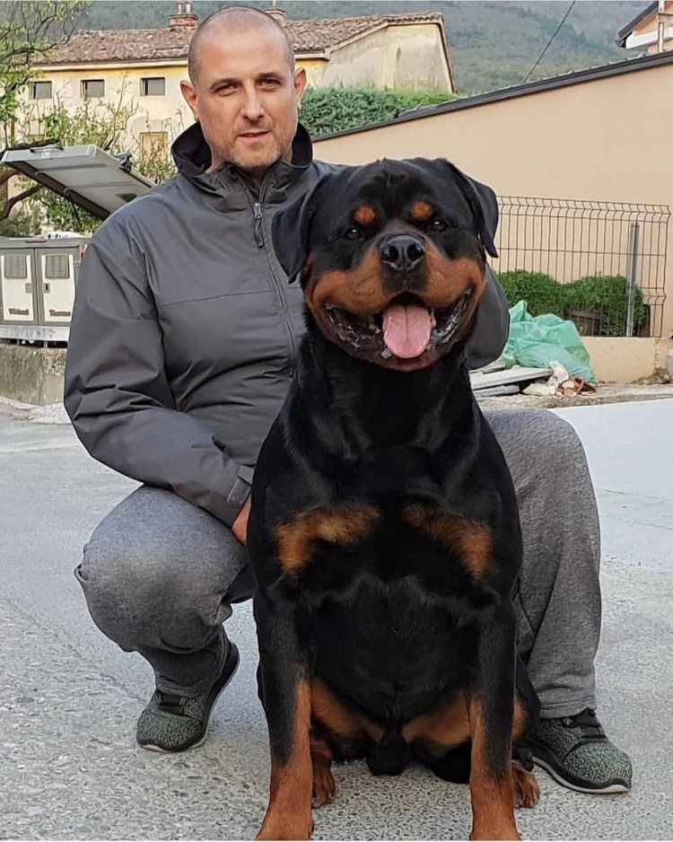 Пацан с ротвейлером