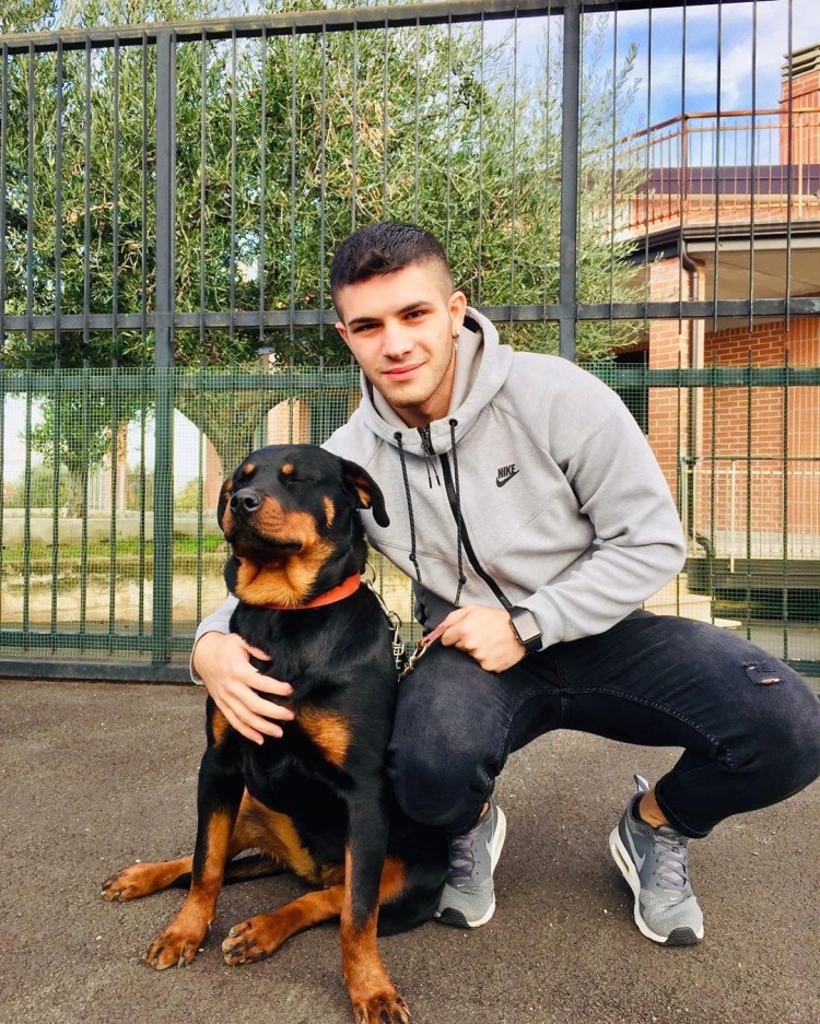 Парень с ротвейлером