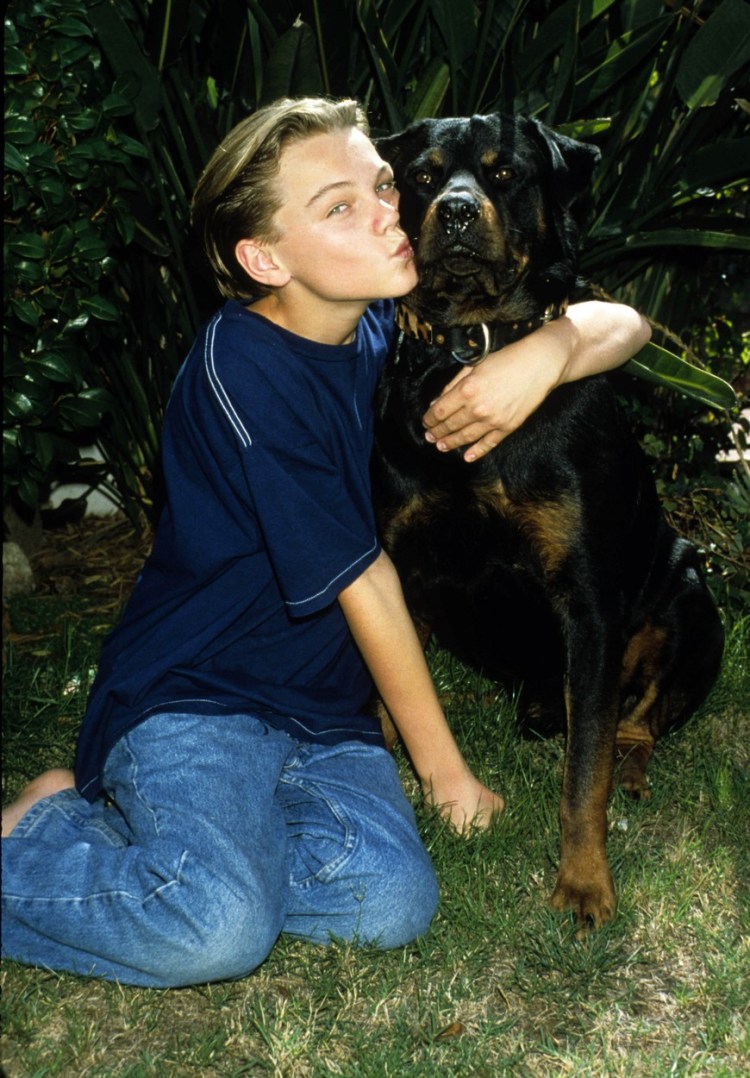 Винсент ротвейлер