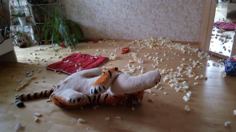 Собака одна дома