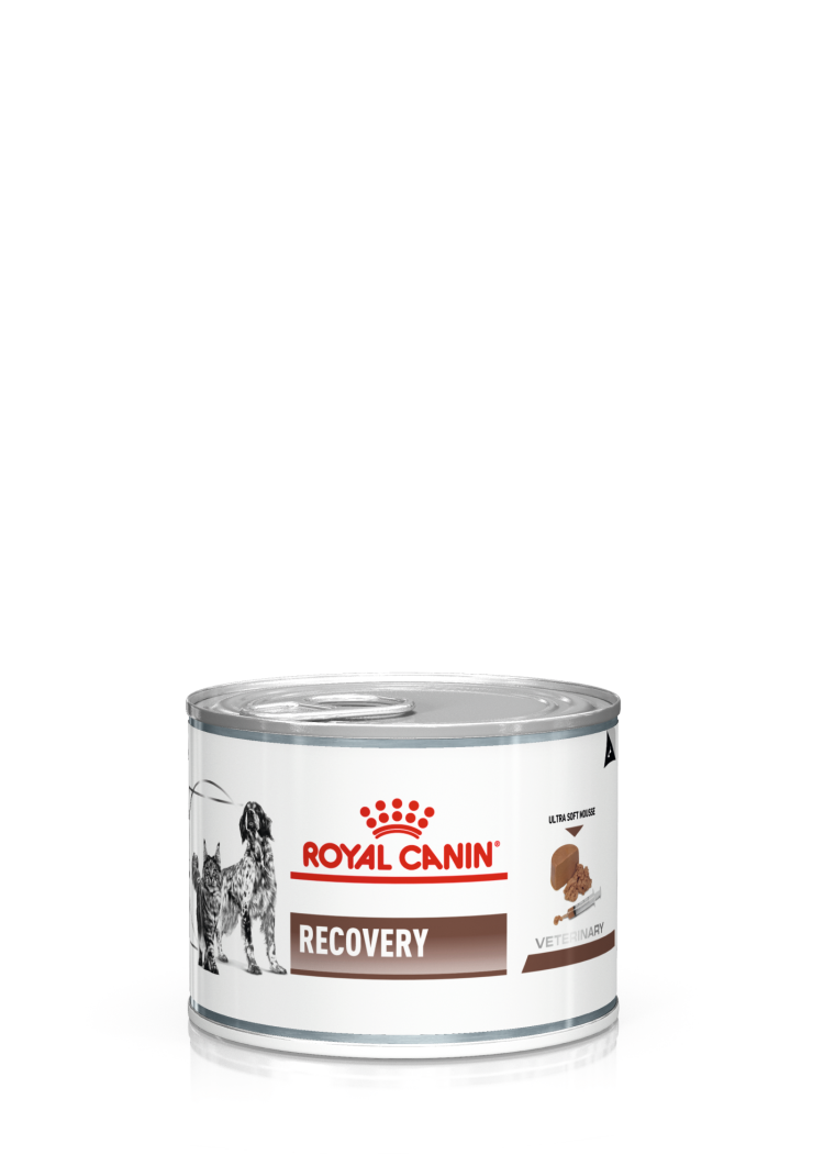 Гастроинтестинал Роял Канин для собак 15 кг