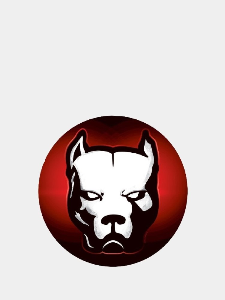 Питбуль Эрика Давидыча