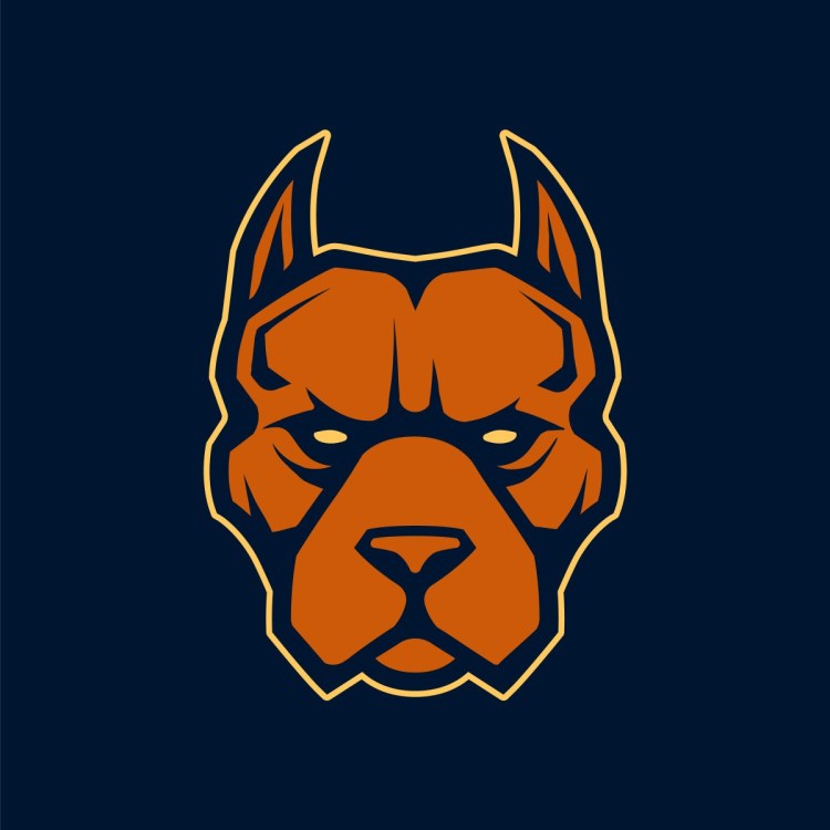 Символ Давидыча