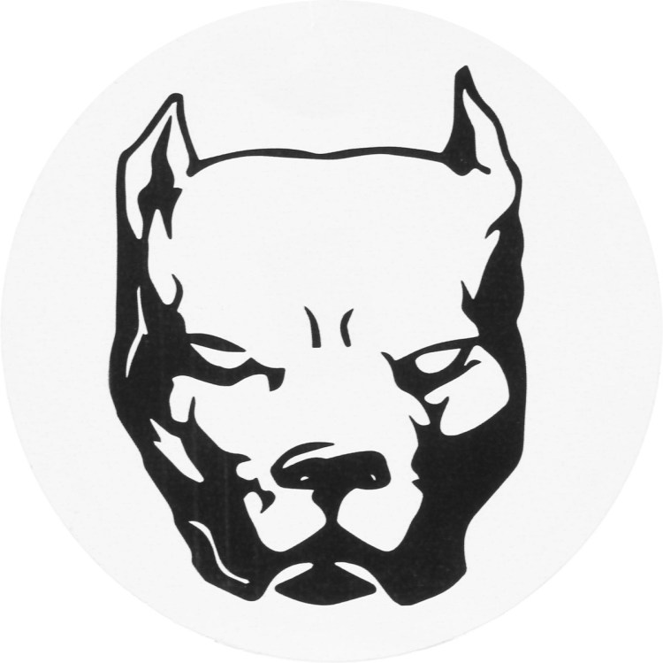 Питбуль Давидыча