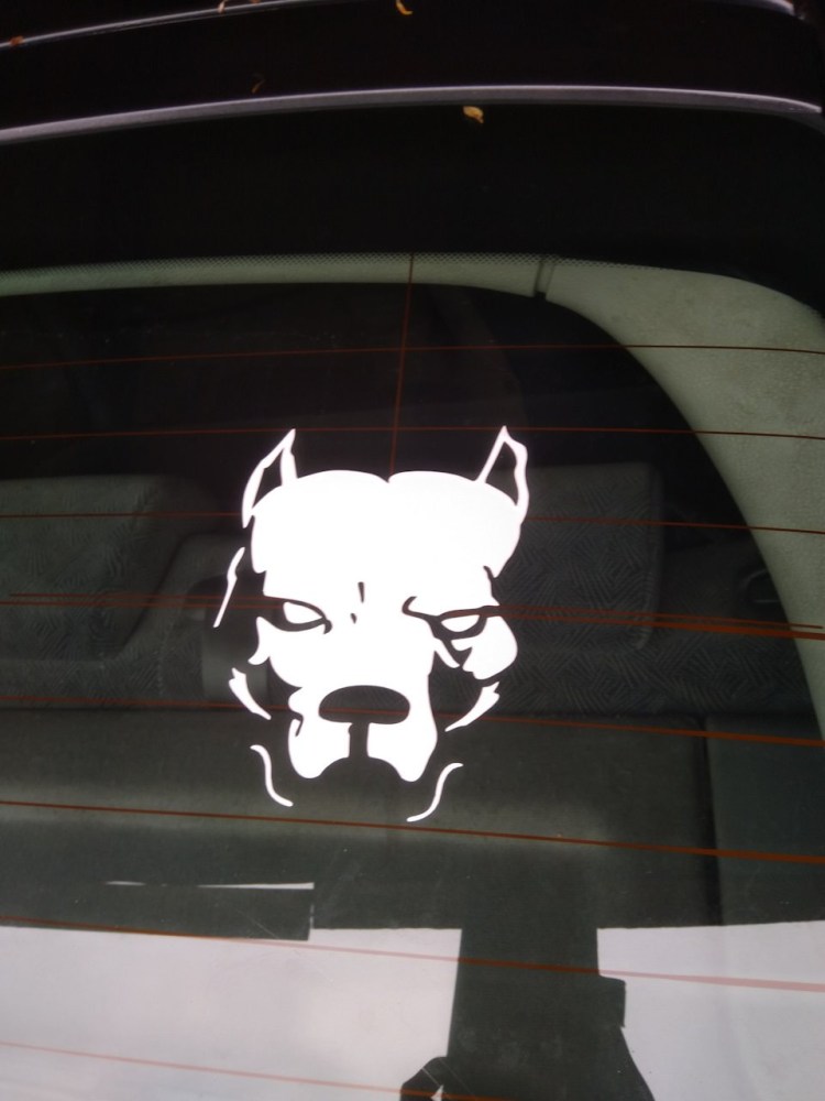 Наклейка питбуль на заднее стекло