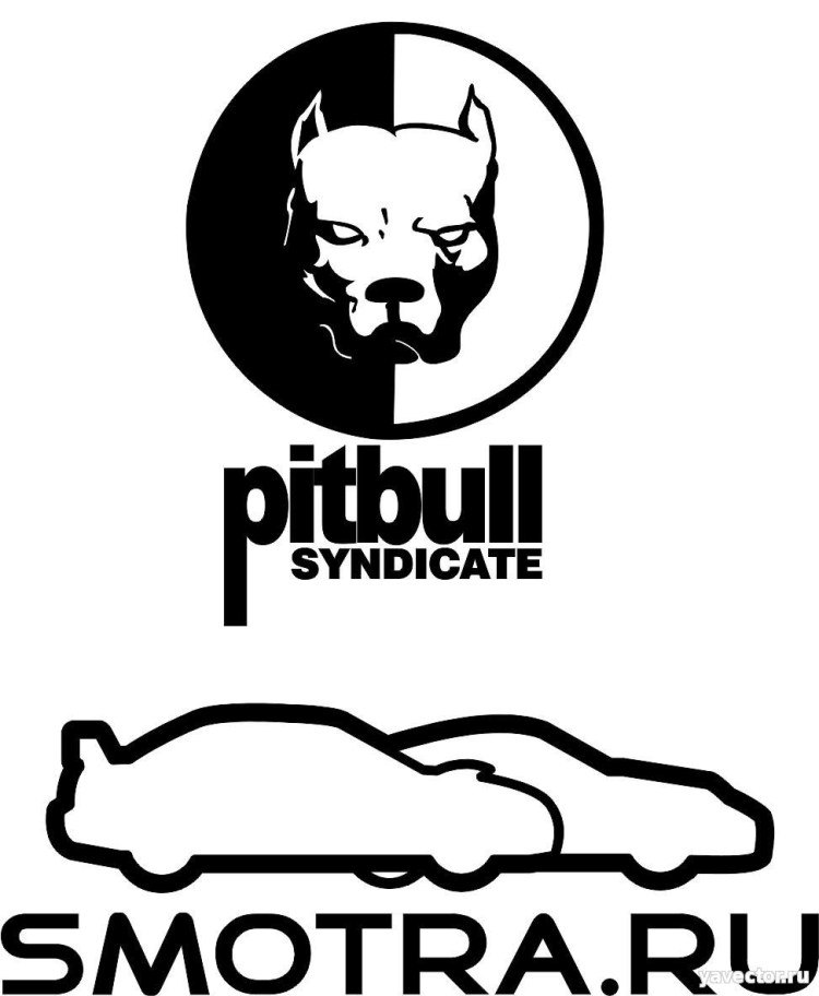 Питбуль Давидыча