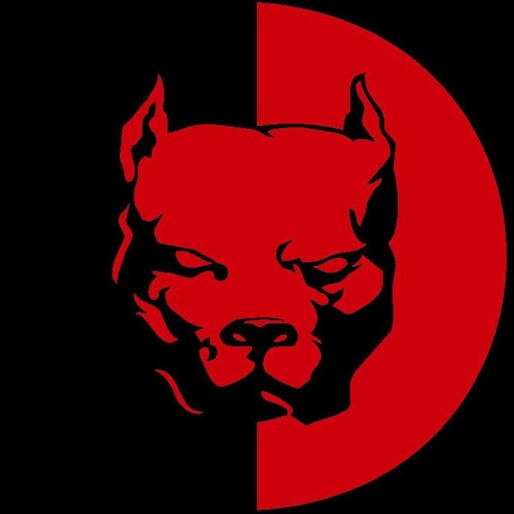 Эрик Давидыч питбуль