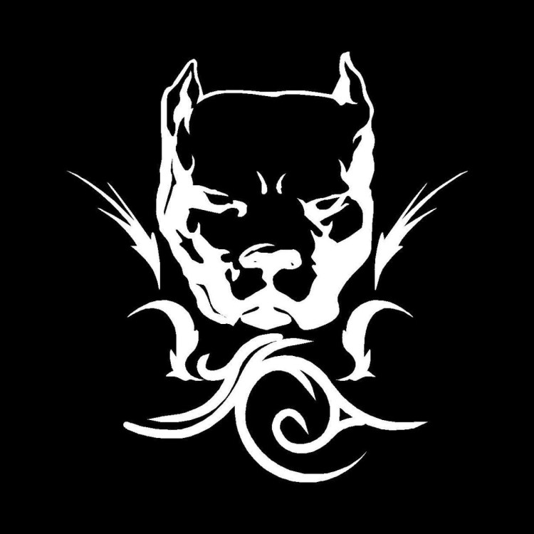 Питбуль черно белый круг