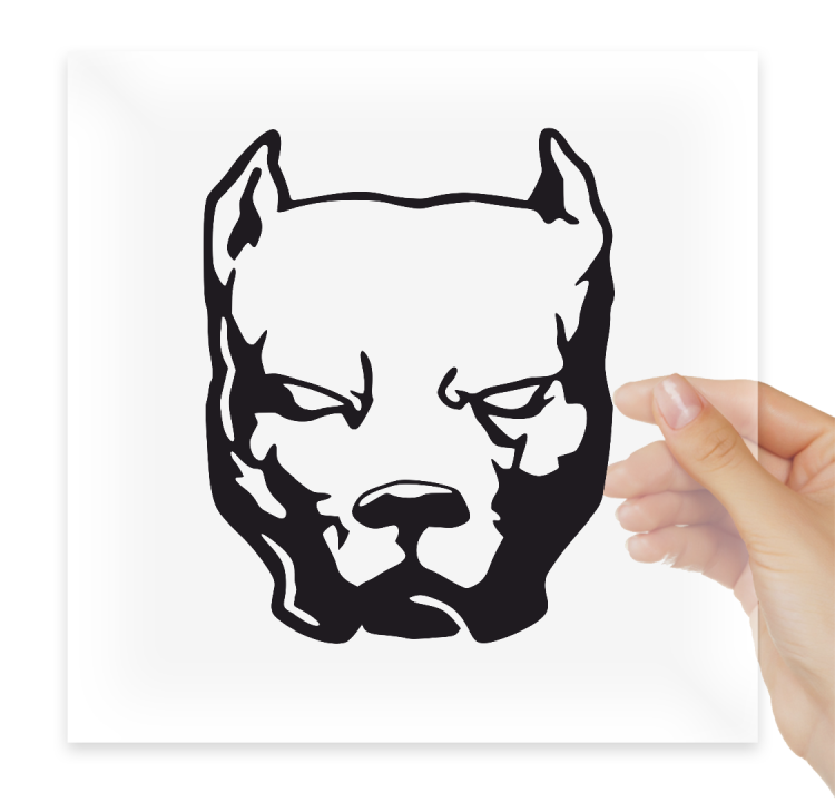 Питбуль Давидыча