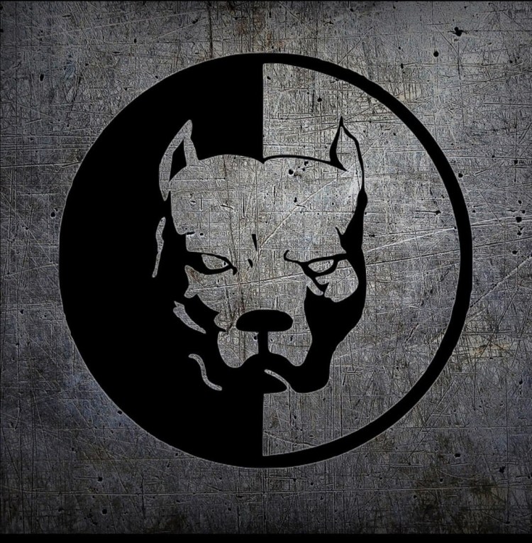 Питбуль Давидыча