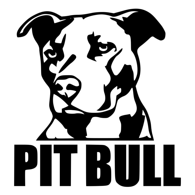 Наклейка американский стаффордширский терьер