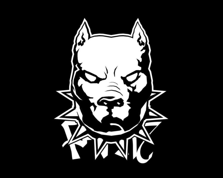 Питбуль марка